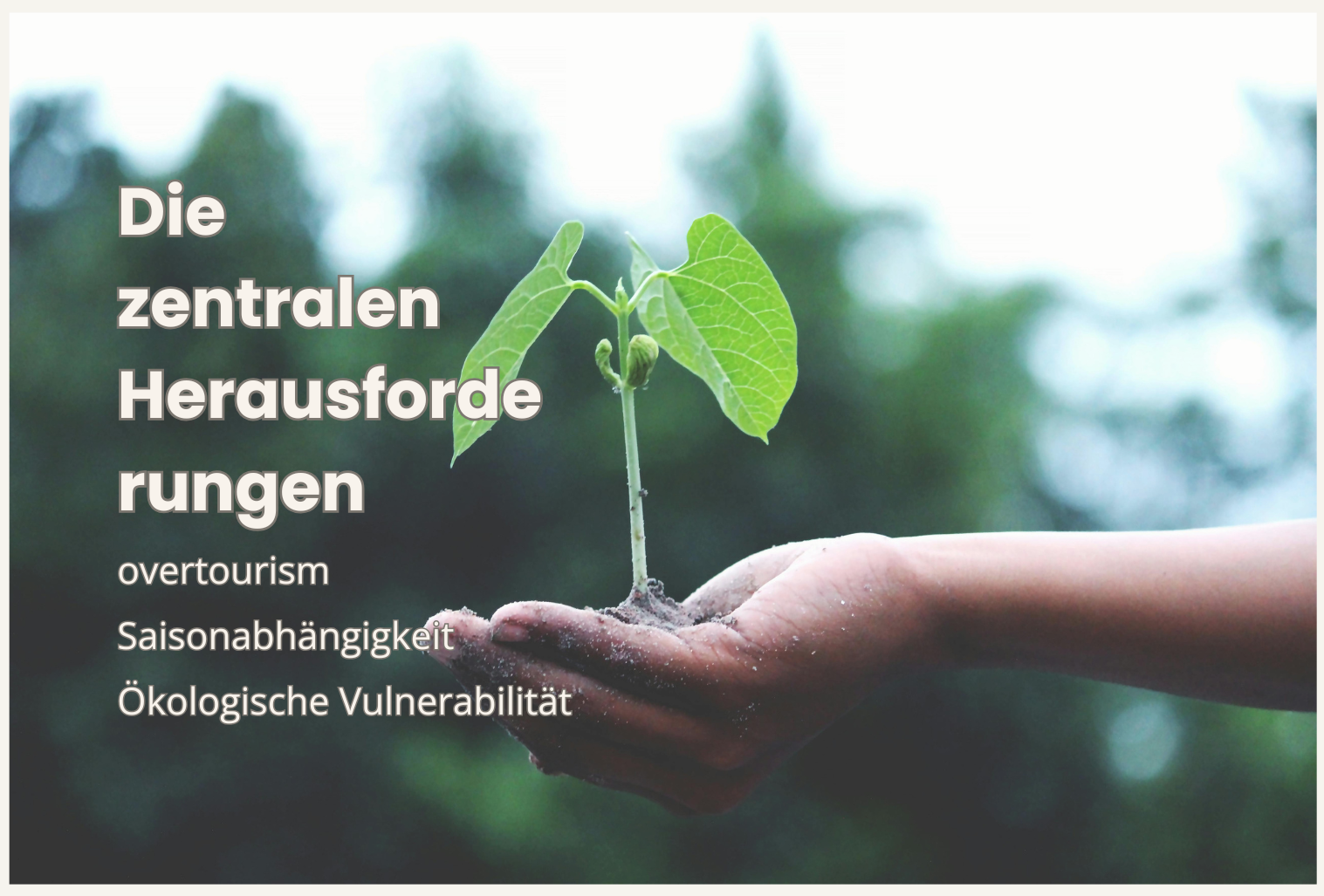german (1)